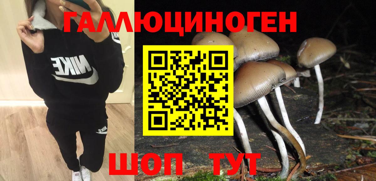 Галлюциногенные грибы мухоморы  Вход с VPN  Гусиноозёрск 